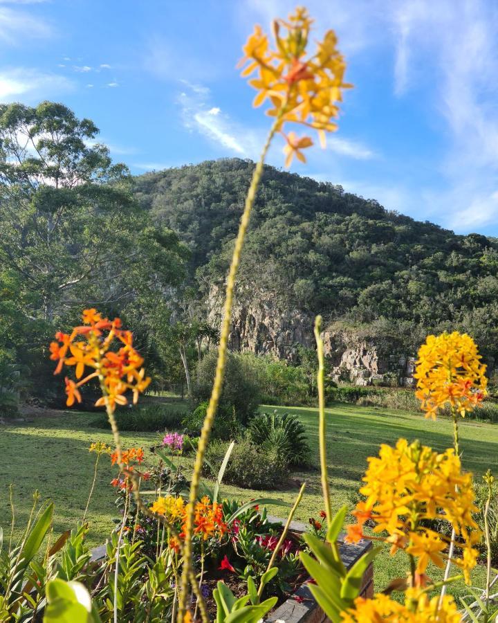 Mackenzies Accommodation อีสต์ลอนดอน ภายนอก รูปภาพ